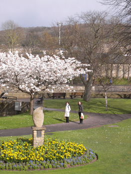 0406city of birth1.jpg