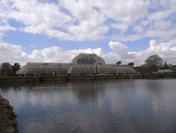 0408kew gardens 13.jpg