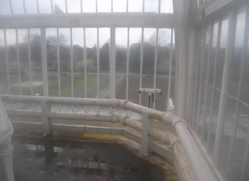 0408kew gardens 14.jpg