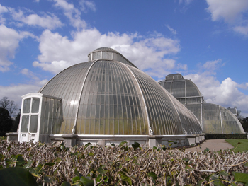 0408kew gardens 15.jpg