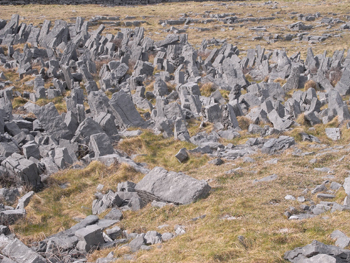 0411 galway-aran 22.jpg