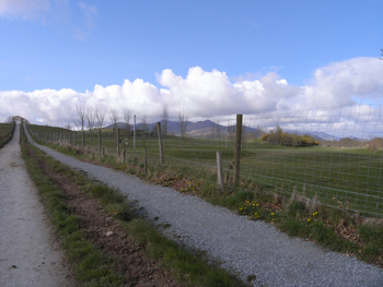 0414killarney national park1.jpg