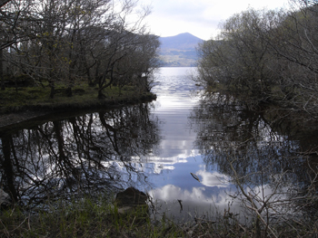 0414killarney national park13.jpg
