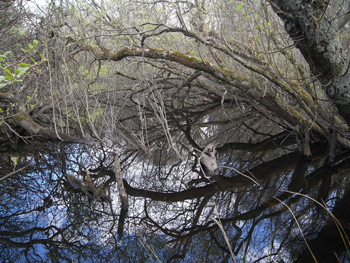 0414killarney national park14.jpg