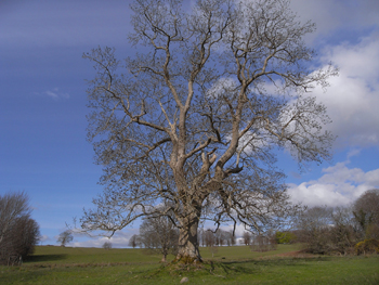 0414killarney national park17.jpg