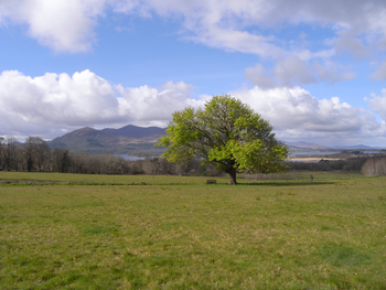 0414killarney national park2.jpg