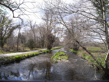 0414killarney national park3.jpg