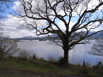 0414killarney national park9.jpg