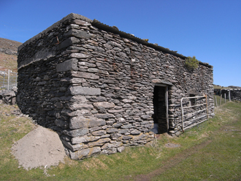 0415 dingle peninsula 10.jpg