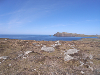 0415 dingle peninsula 11.jpg