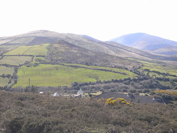 0415 dingle peninsula 21.jpg