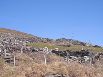 0415 dingle peninsula 3.jpg