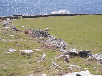 0415 dingle peninsula 4.jpg